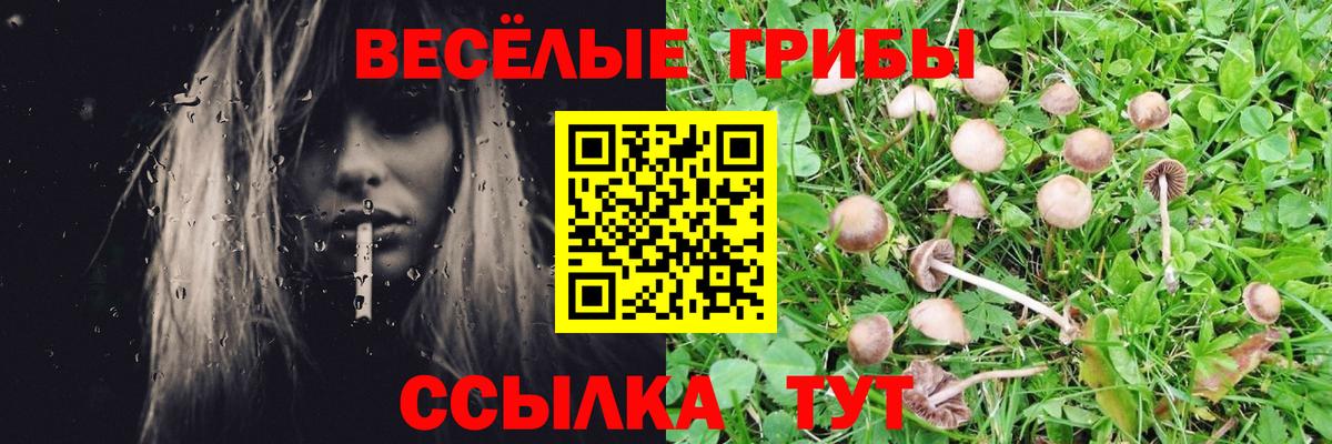 Углич  Галлюциногенные грибы Magic Shrooms  Вход с VPN 